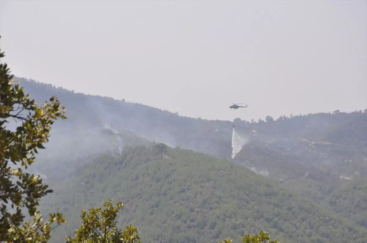 Manisa\'da orman yangınlarına havadan ve karadan müdahale devam ediyor