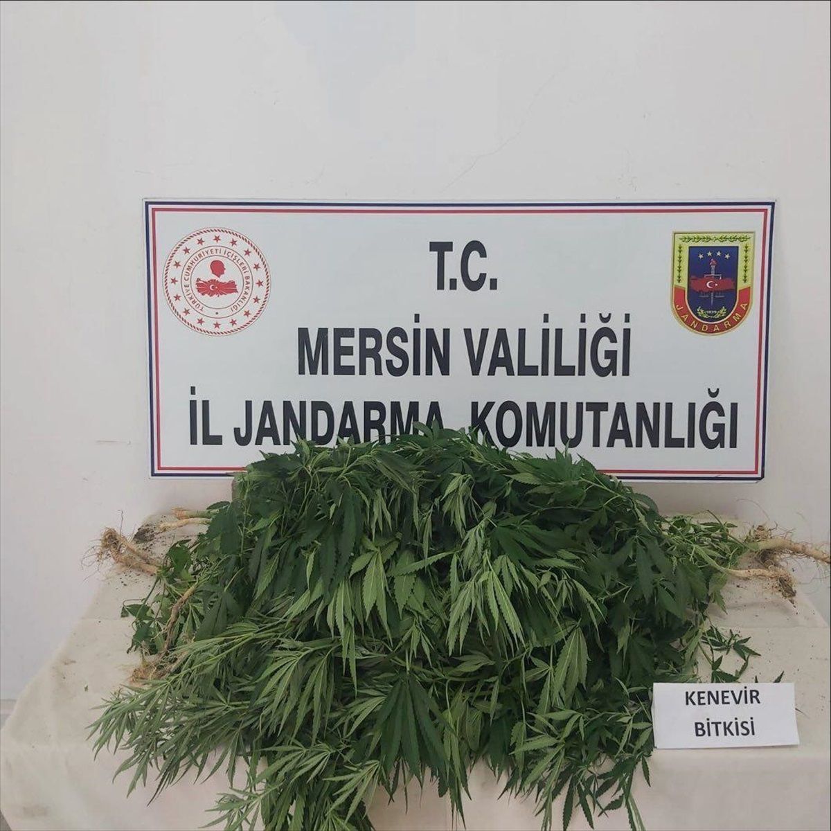 Mersin\'de Uyuşturucu Operasyonunda 2 Şüpheli Tutuklandı