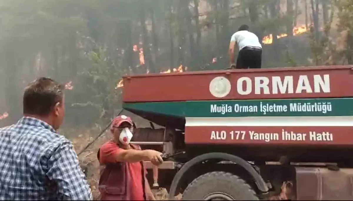 Muğla\'da Eş Zamanlı Orman Yangınlarına Yoğun Müdahale