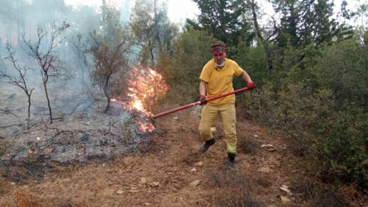 Muğla'nın Yatağan ilçesinde çıkan orman yangınıyla ilgili bir baba ile oğlu gözaltına alındı