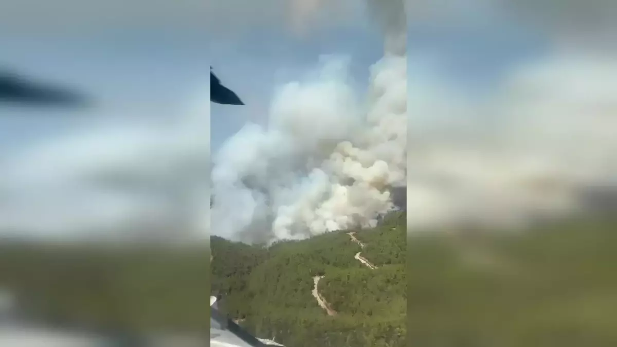 Muğla\'da Orman Yangını: Nebiköy ve Kafaca Ramada Mahalleleri Boşaltılıyor