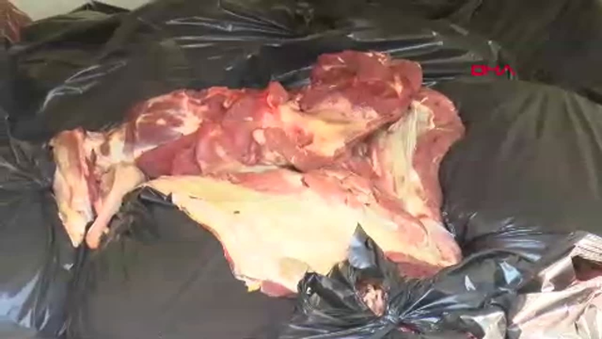 Adana\'da 1,5 Ton Tek Tırnaklı Hayvan Eti Ele Geçirildi