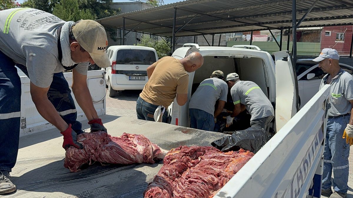 Adana\'da 1,5 Ton Tek Tırnaklı Hayvan Eti Ele Geçirildi
