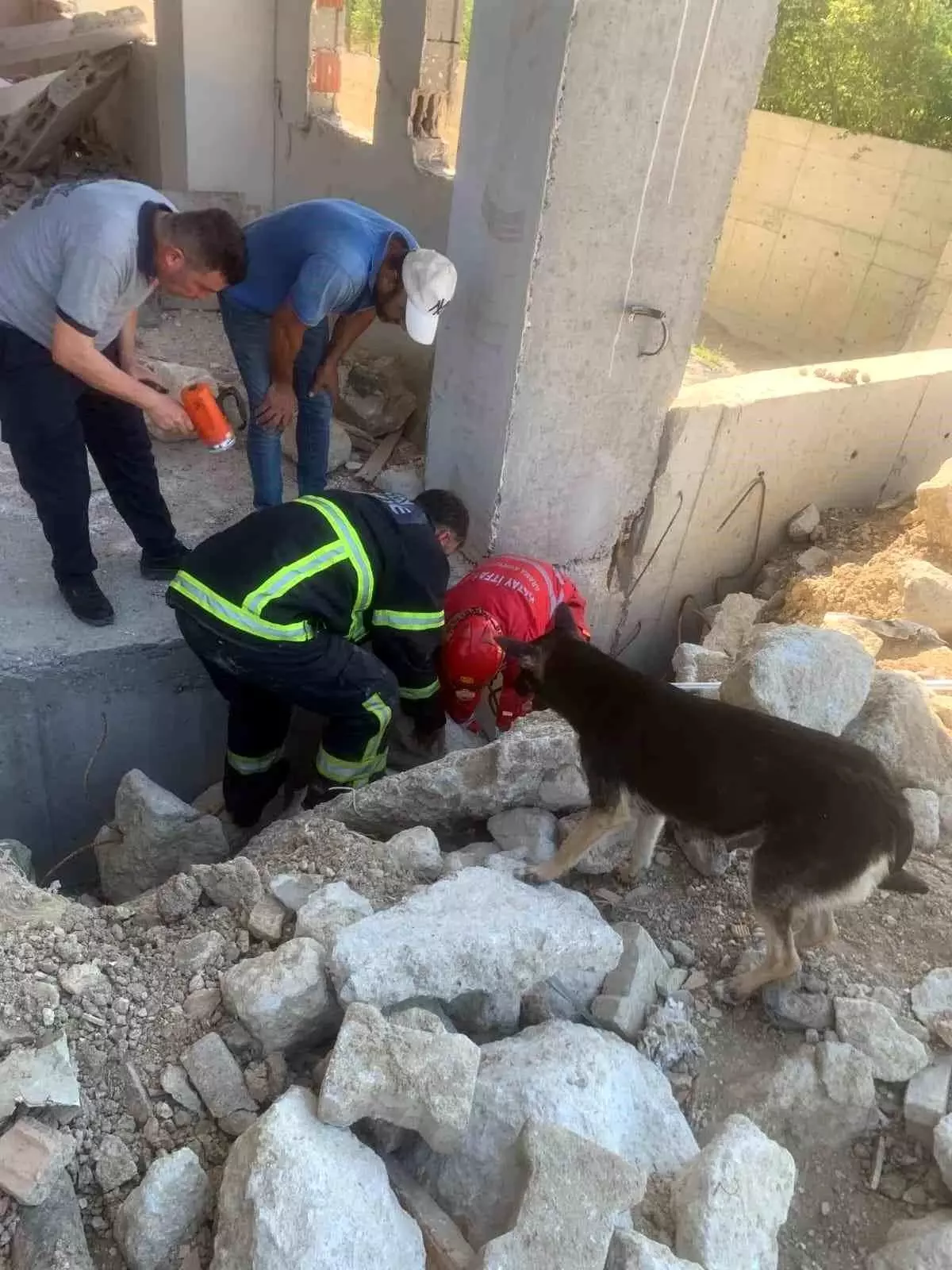 Hatay\'da enkaz altında kalan yavrularını kurtaran anne köpek, itfaiye ekiplerinin yanından ayrılmadı