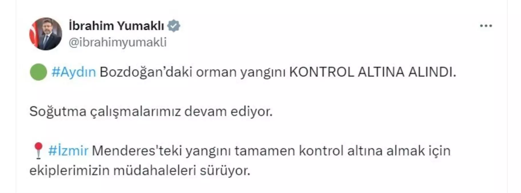 Aydın Bozdoğan\'daki Orman Yangını Kontrol Altına Alındı