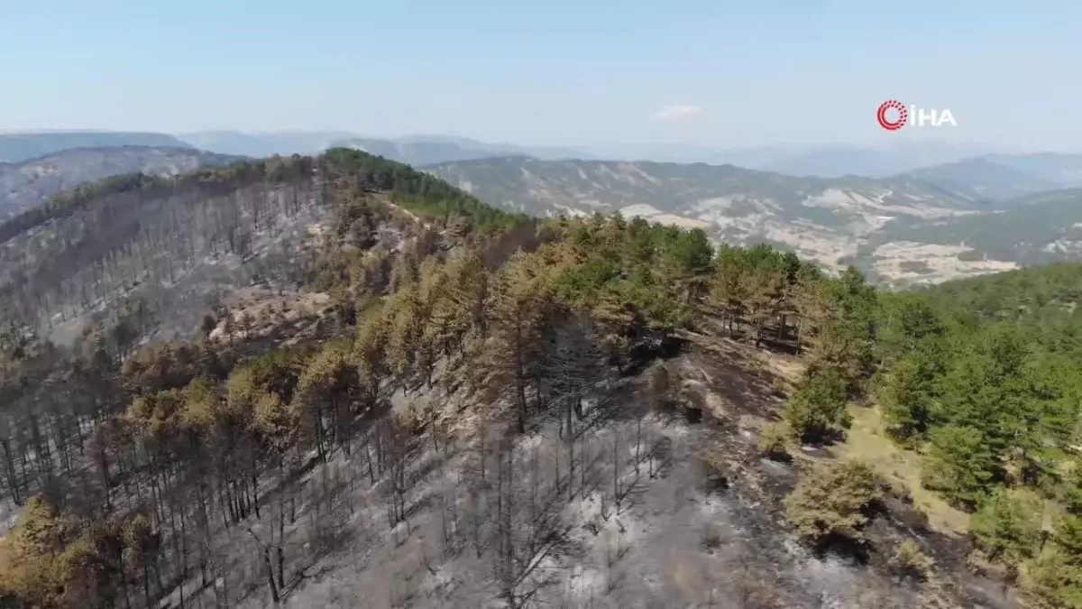 Bolu\'daki yangının ardından yeşil alanlar siyaha döndü