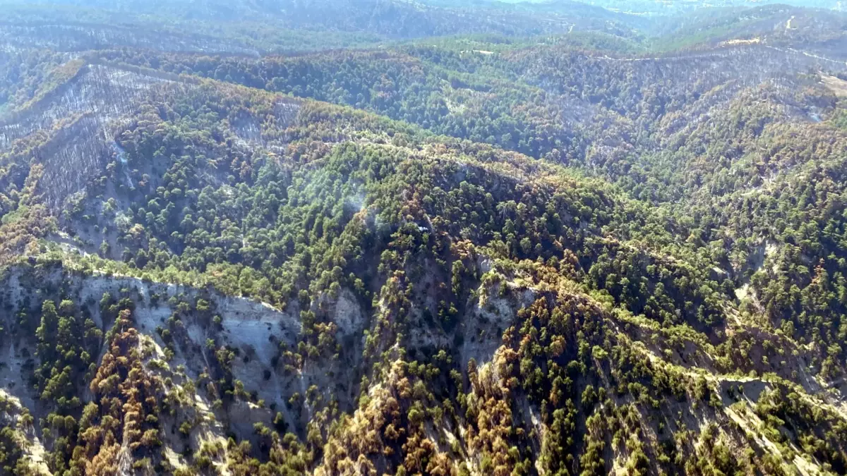 Bolu Göynük\'teki Orman Yangınında Soğutma Çalışmaları Devam Ediyor