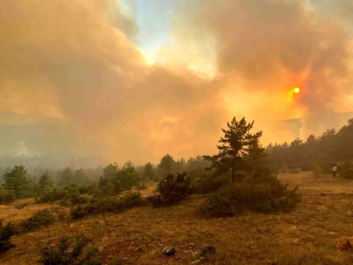 Çankırı\'nın Ilgaz ilçesinde orman yangınına müdahale devam ediyor