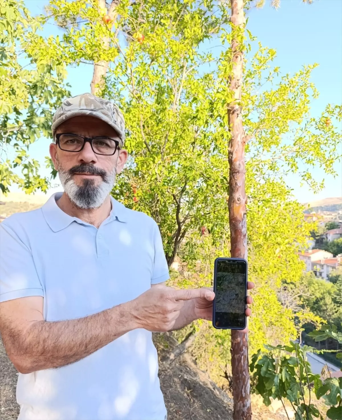 Çorum\'da Mantar Toplarken Nadir Görülen Yılanı Fotoğrafladı