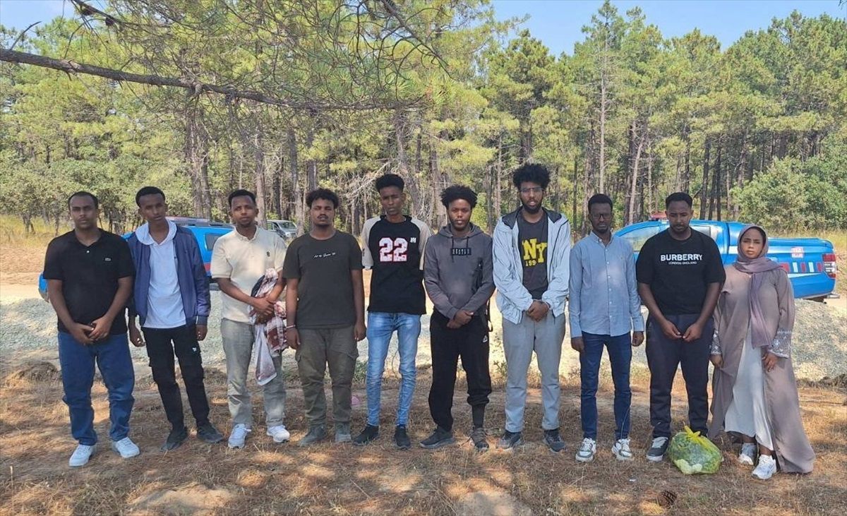 Edirne\'de yasa dışı yollarla yurda giren 24 düzensiz göçmen yakalandı
