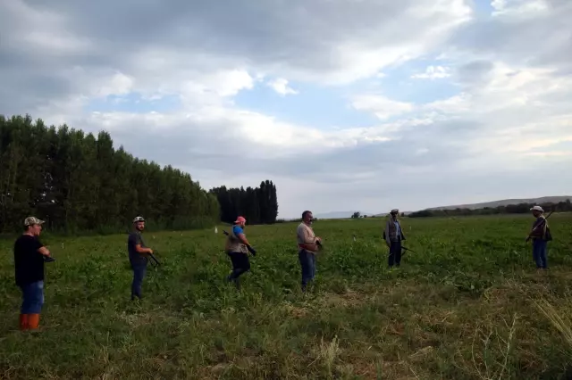 Mahsulün talan edilmesine daha fazla dayanamayan çiftçiler resmi izin alıp ava çıktı