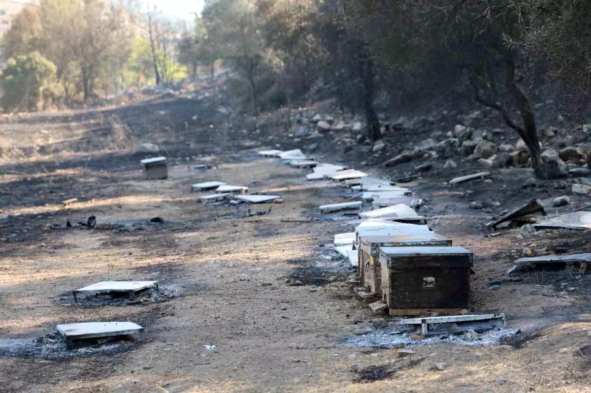 Muğla\'da arı kovanlarından çıkan yangın kontrol altına alındı