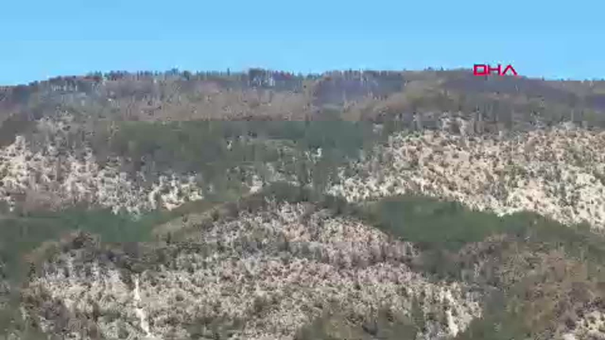 Karabük\'te kontrol altına alınan orman yangınında soğutma çalışmaları sürüyor