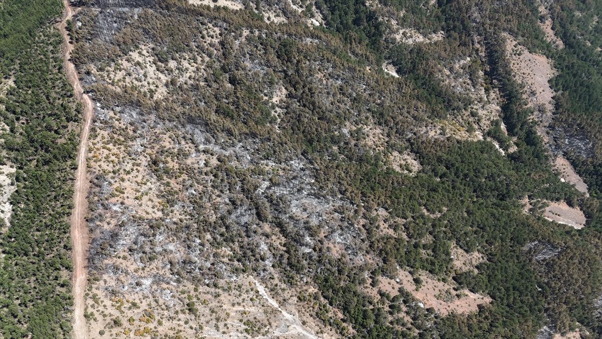Karabük\'ün Ovacık ilçesinde çıkan yangında zarar gören ormanlık alan dronla görüntülendi