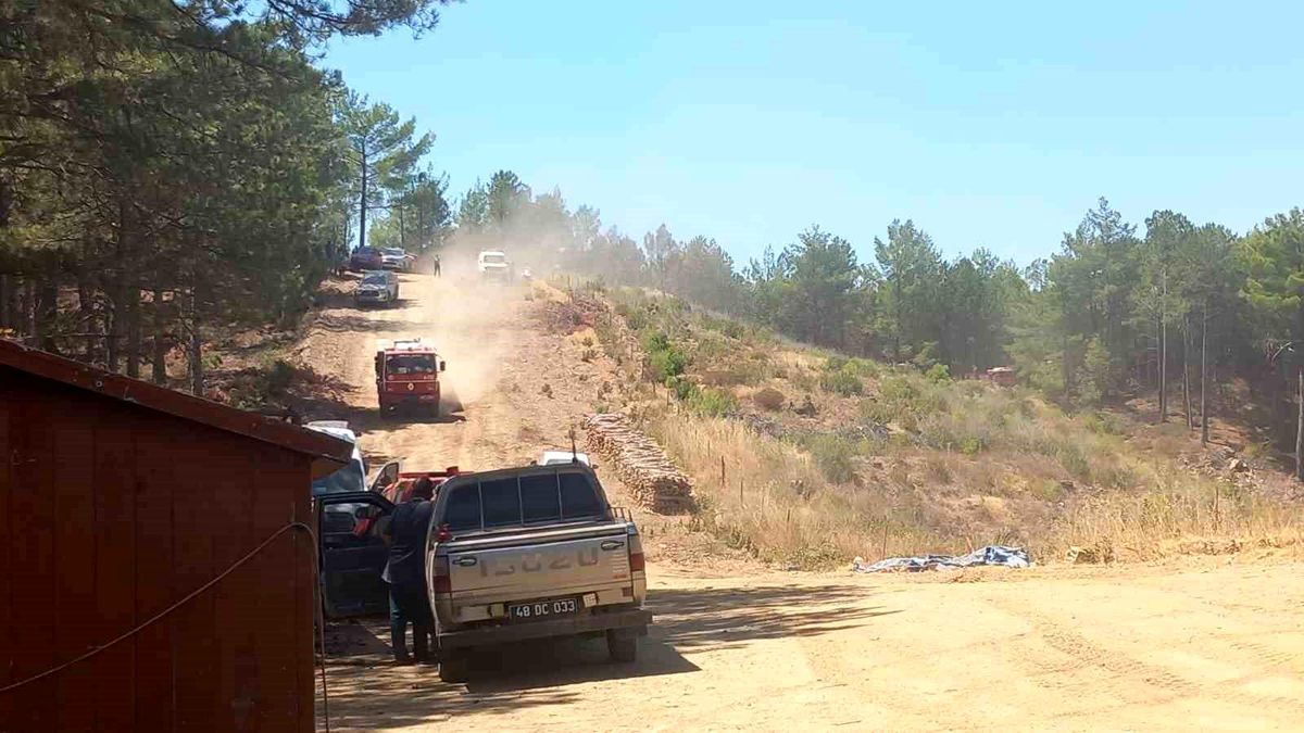 Muğla\'da Orman Yangını Kontrol Altına Alındı