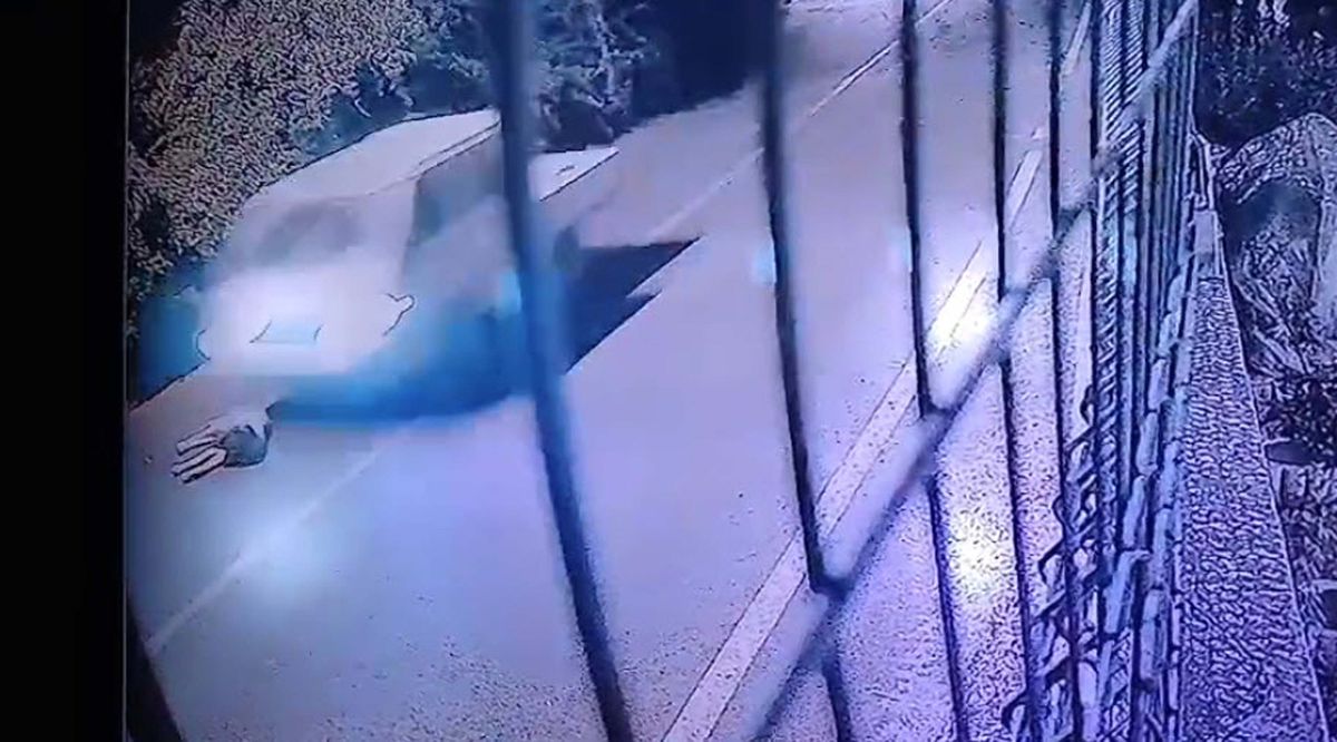 Bodrum\'da kamyonet köpeği ezdi, sürücü kaçtı