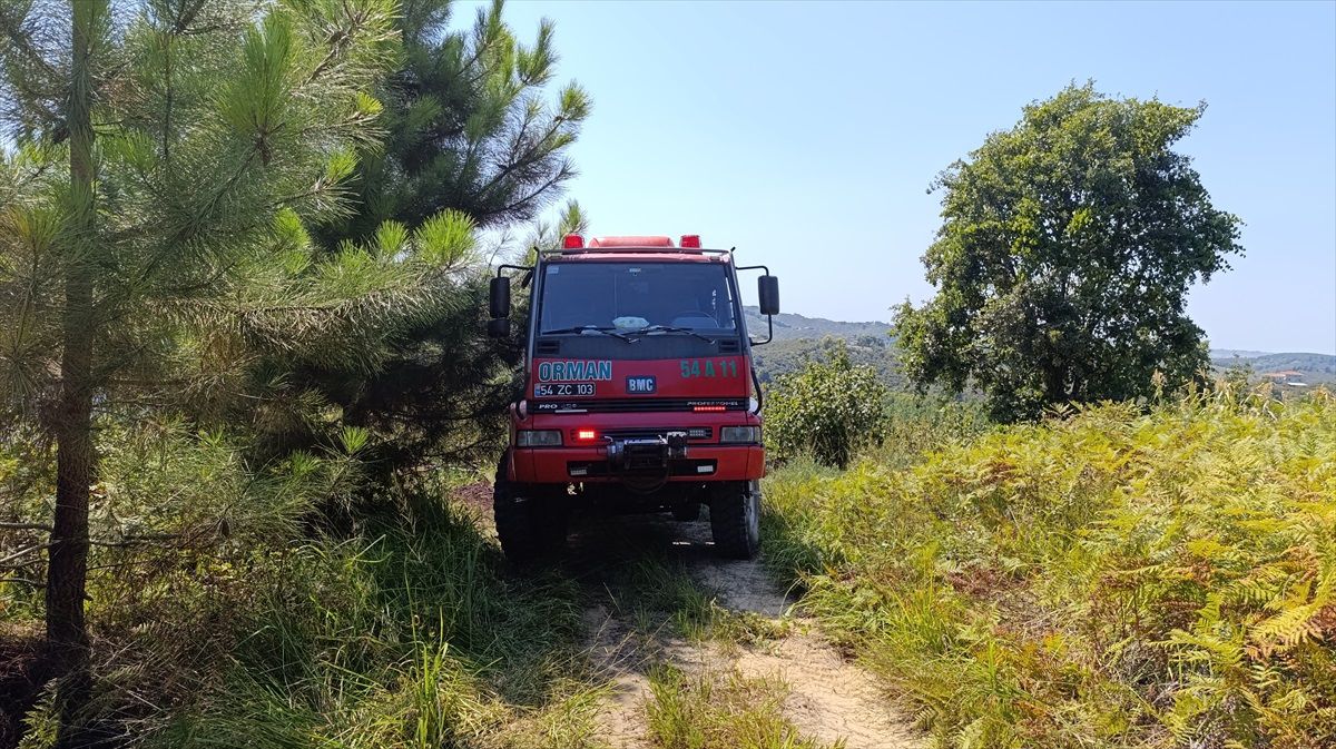 Sakarya\'da Fındık Filizlerinin Yakılması Sonucu Çıkan Yangın Kontrol Altına Alındı
