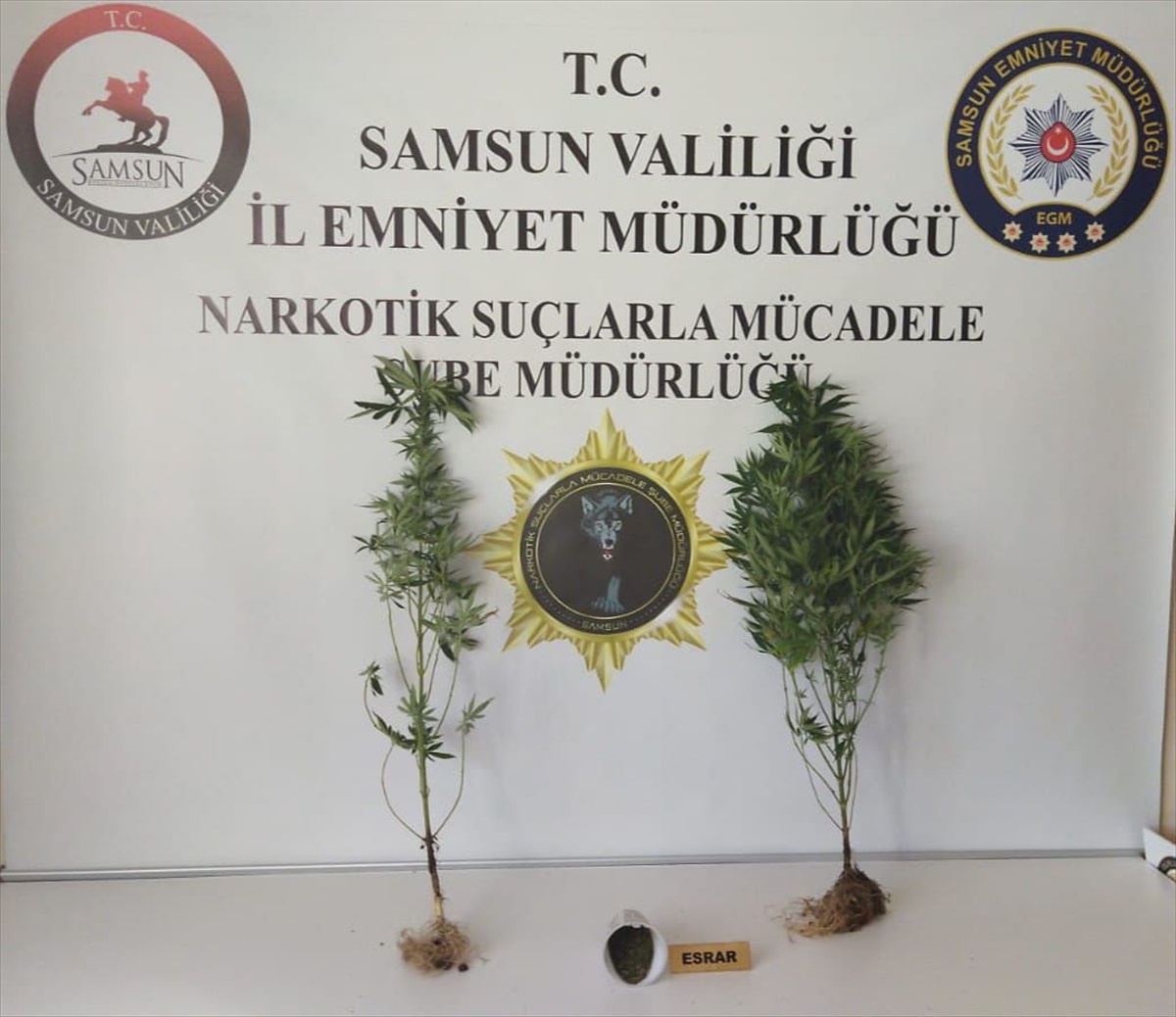 Samsun\'da Uyuşturucu Operasyonunda 20 Kişi Gözaltına Alındı