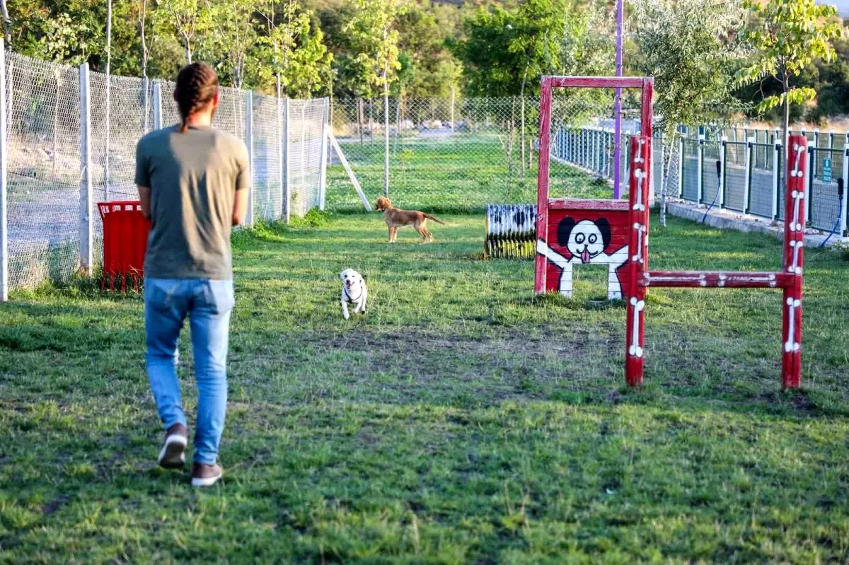 Talas Belediyesi, minik dostlar için Patiyol projesini hayata geçirdi