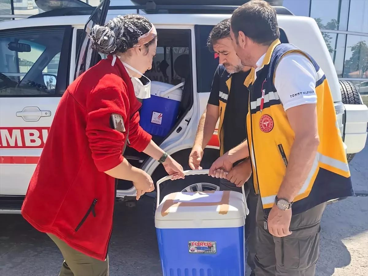 Konya\'da beyin ölümü gerçekleşen 1 yaşındaki bebeğin organları bağışlandı