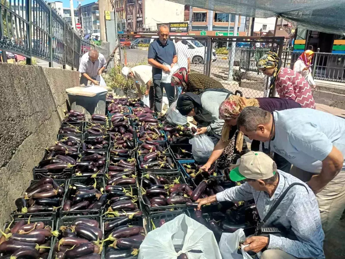 Zonguldak\'ın Ereğli ilçesinde Ziraat Odası Başkanı 5 ton patlıcanı bedava dağıttı