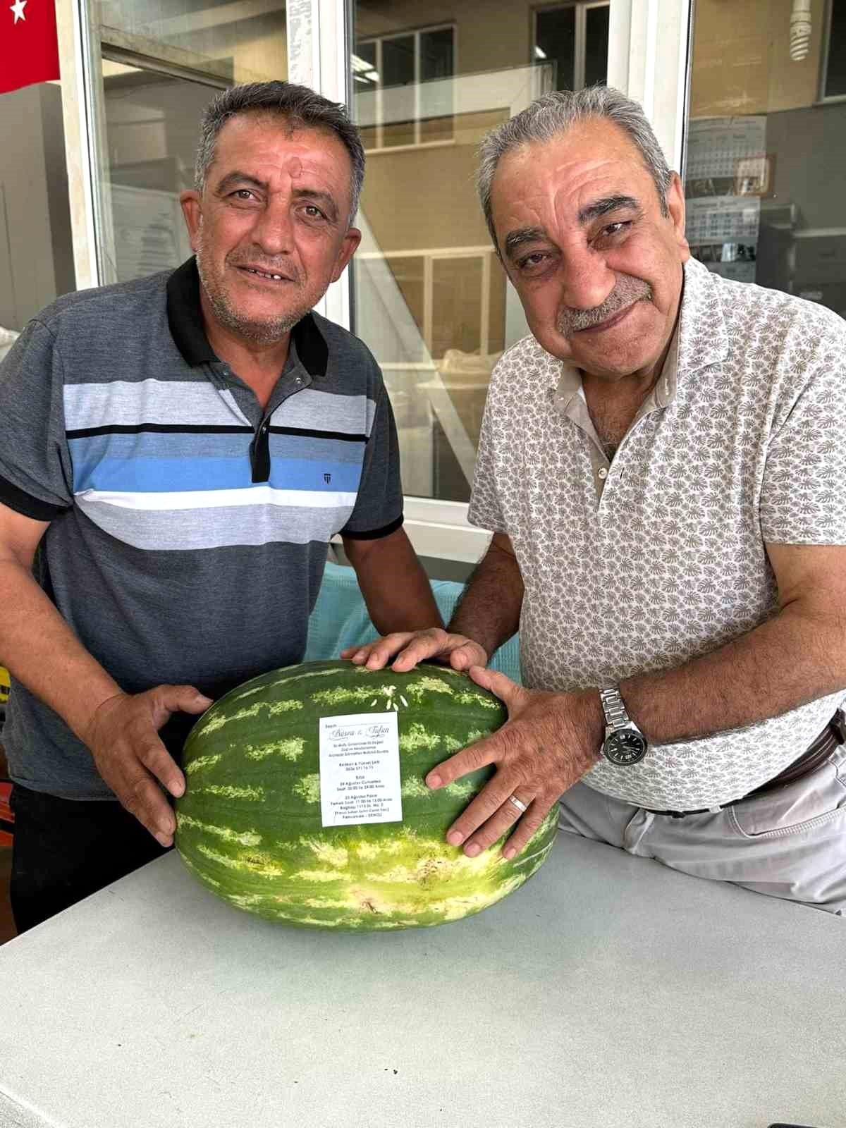 Karpuz Üreticisi Kızının Düğün Davetiyesi Olarak Kullandı