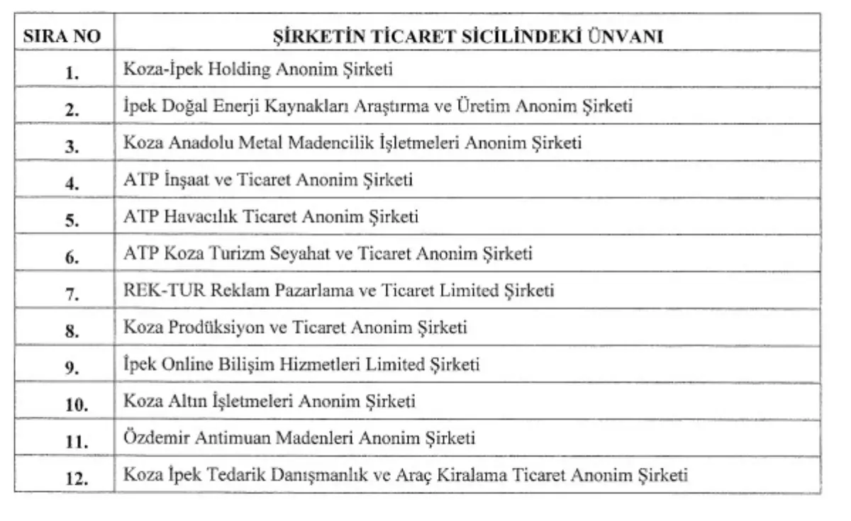 HAZİNE\'ye ait 12 şirketin hisseleri Türkiye Varlık Fonu\'na aktarılıyor