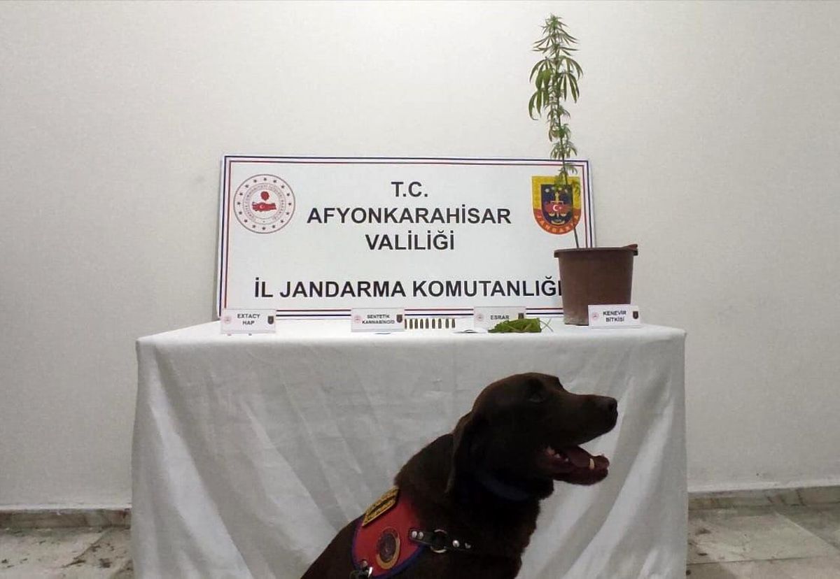 Afyonkarahisar\'da Uyuşturucu Operasyonu: 2 Gözaltı