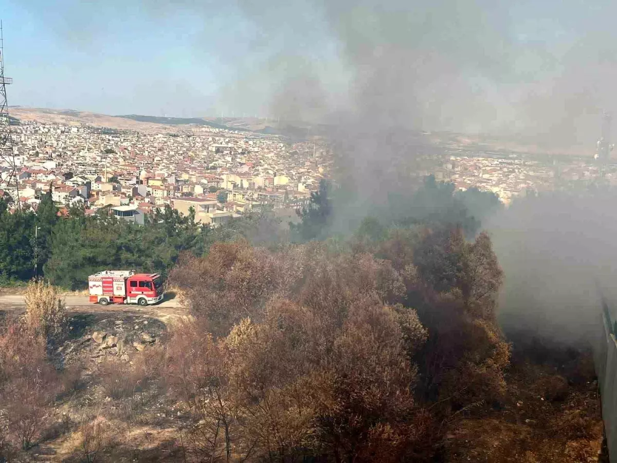 Balıkesir\'de Çamlık Mesire Alanında Arazi Yangını