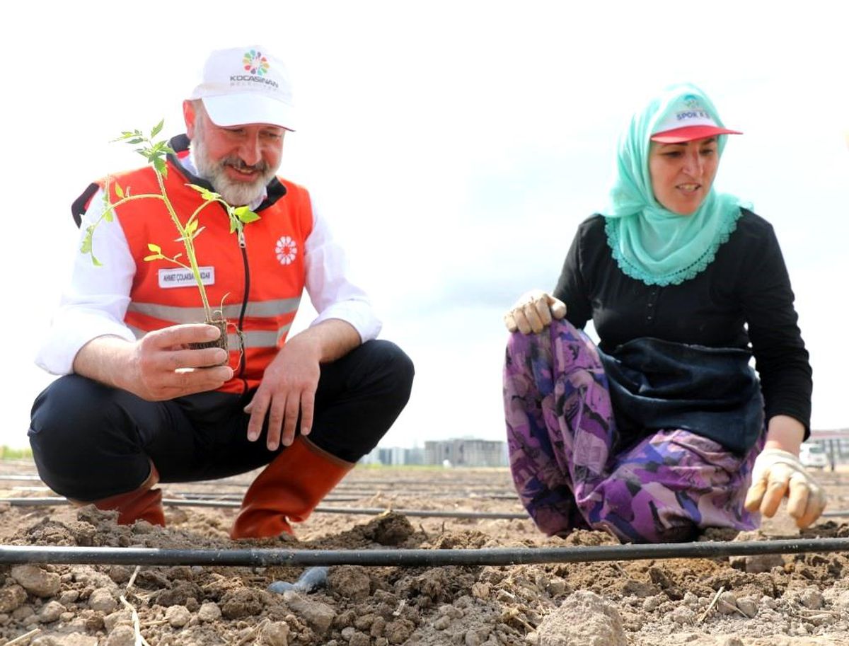 Kocasinan Belediyesi Şehir Merkezinde Tarım Projesiyle İlham Veriyor