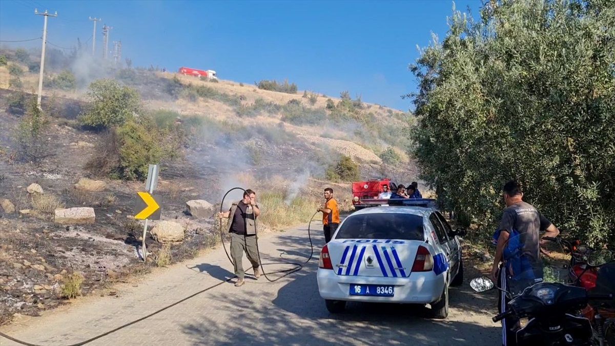 İznik\'te çıkan yangın kontrol altına alındı