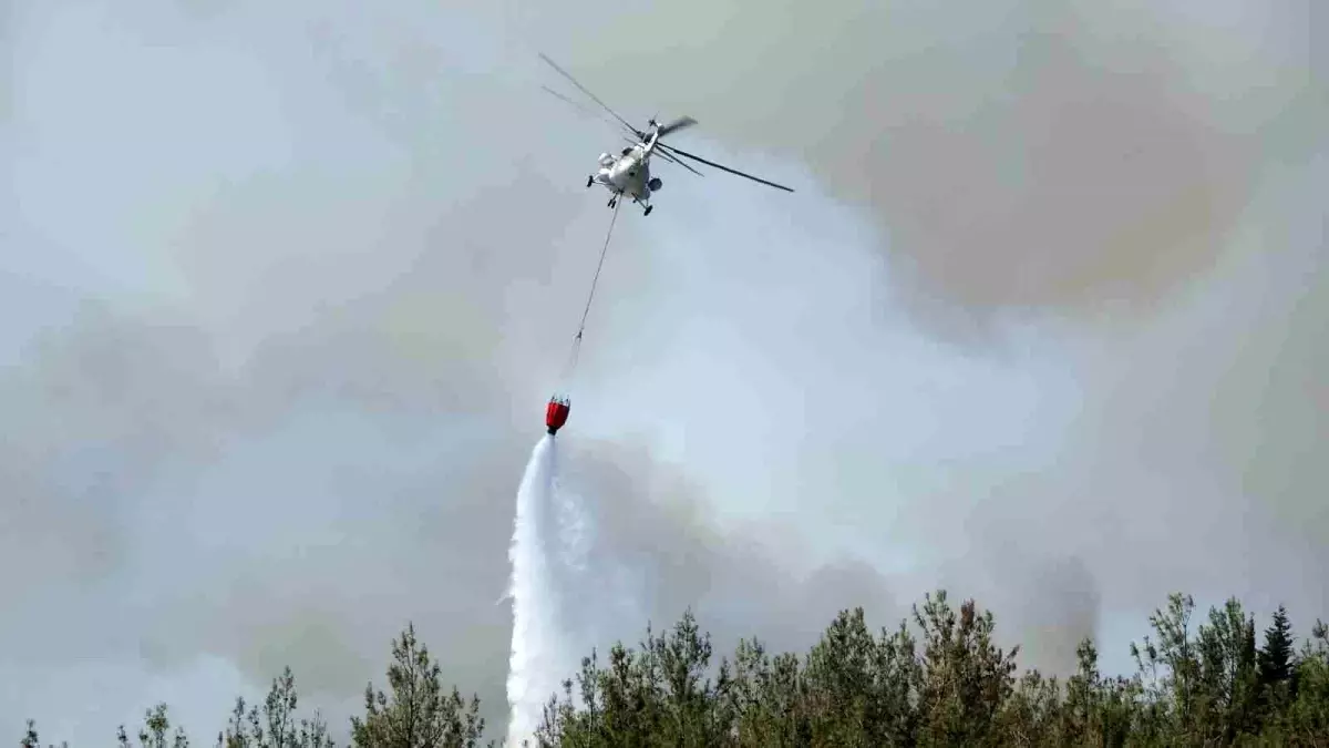 Çanakkale\'de Orman Yangını: 700 Hektarlık Alan Etkilendi