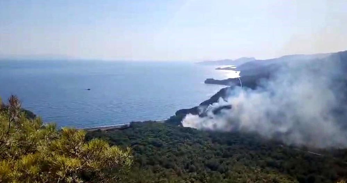 Muğla\'da orman yangınında şüpheli yakalandı