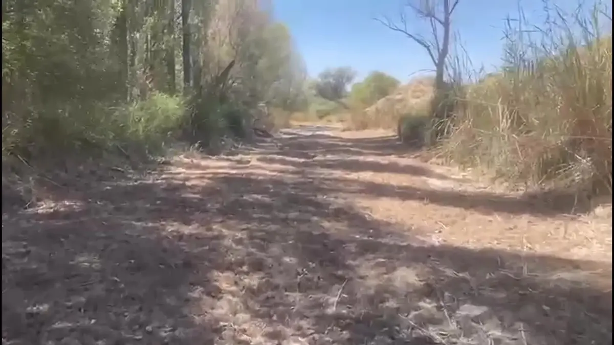 Sakarya Nehri Kurudu: Çiftçiler Mağdur, Balıklar Öldü