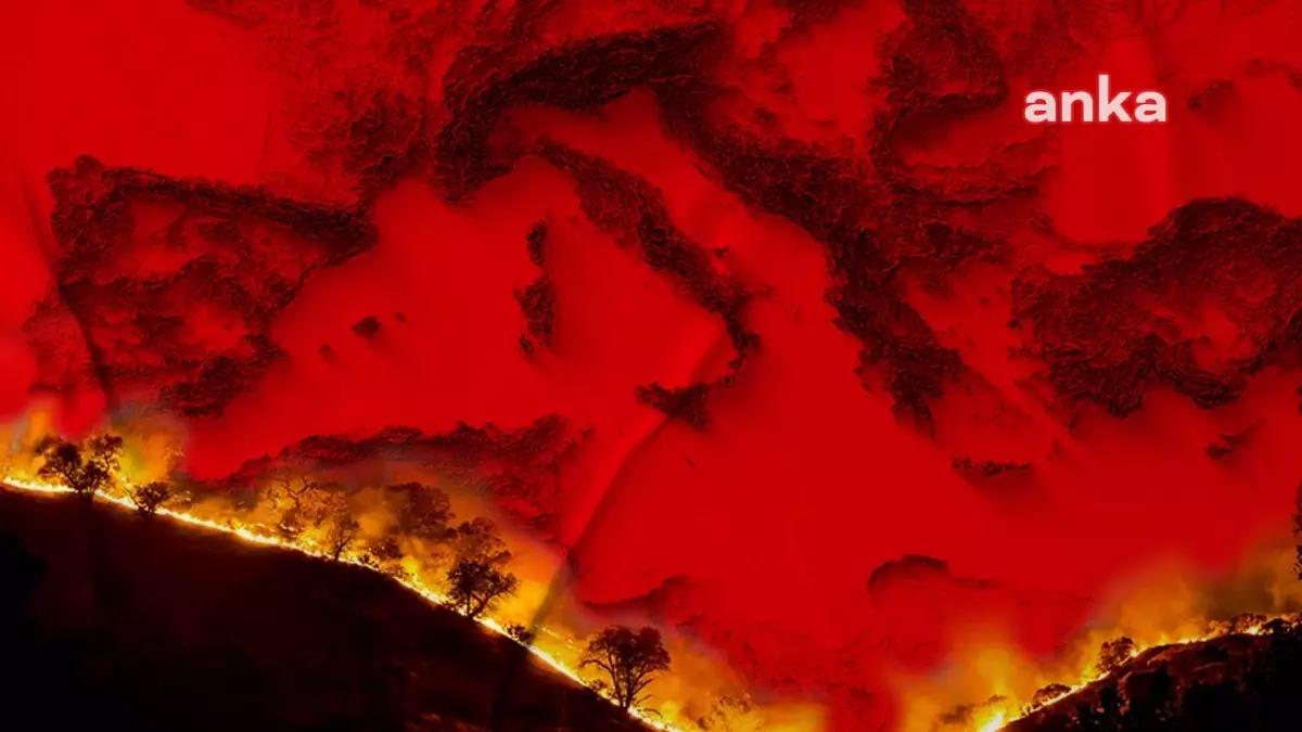 Avrupa\'da Artan Orman Yangınlarına Karşı Alınan Önlemler