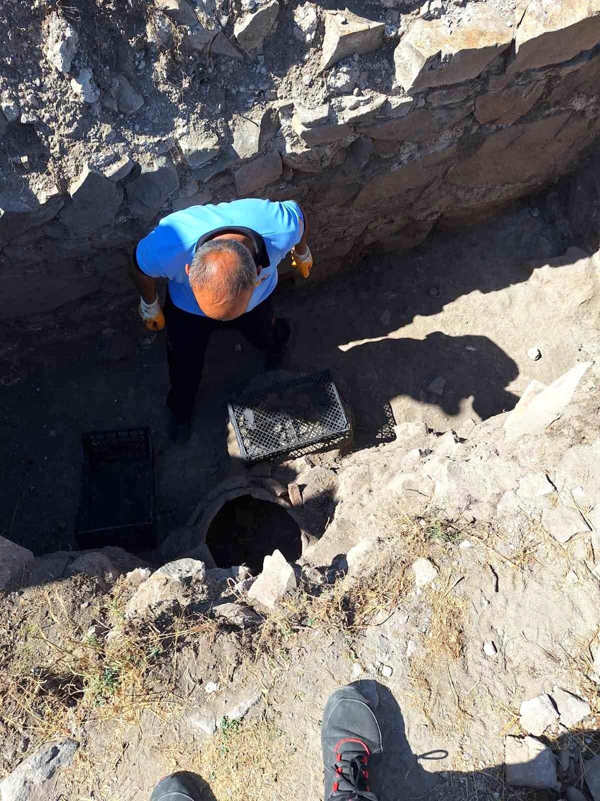 Çorum\'un Alaca ilçesindeki Kalehisar ören yerinde yılan paniği