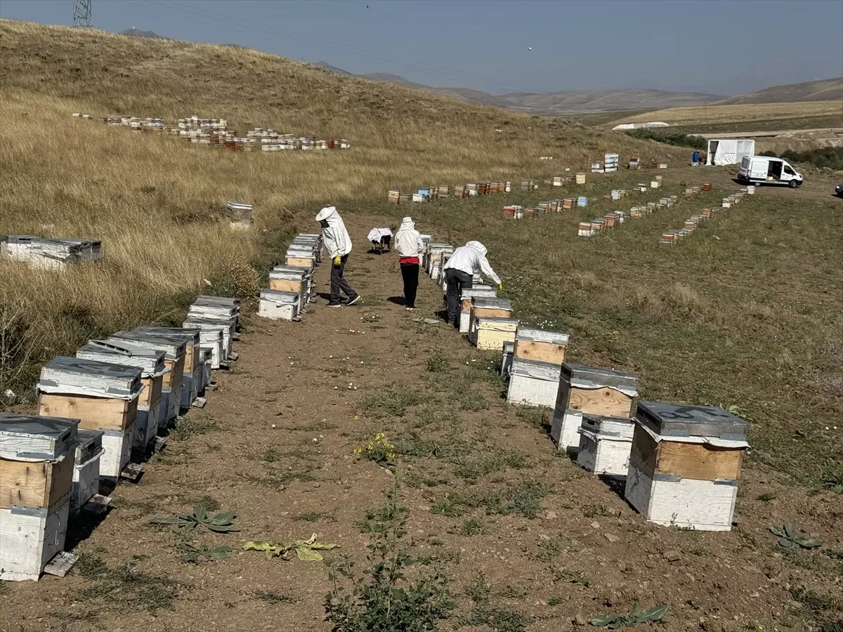 Türk Kızılay Ağrı Şubesi\'nden Şifa ve Burs Desteği