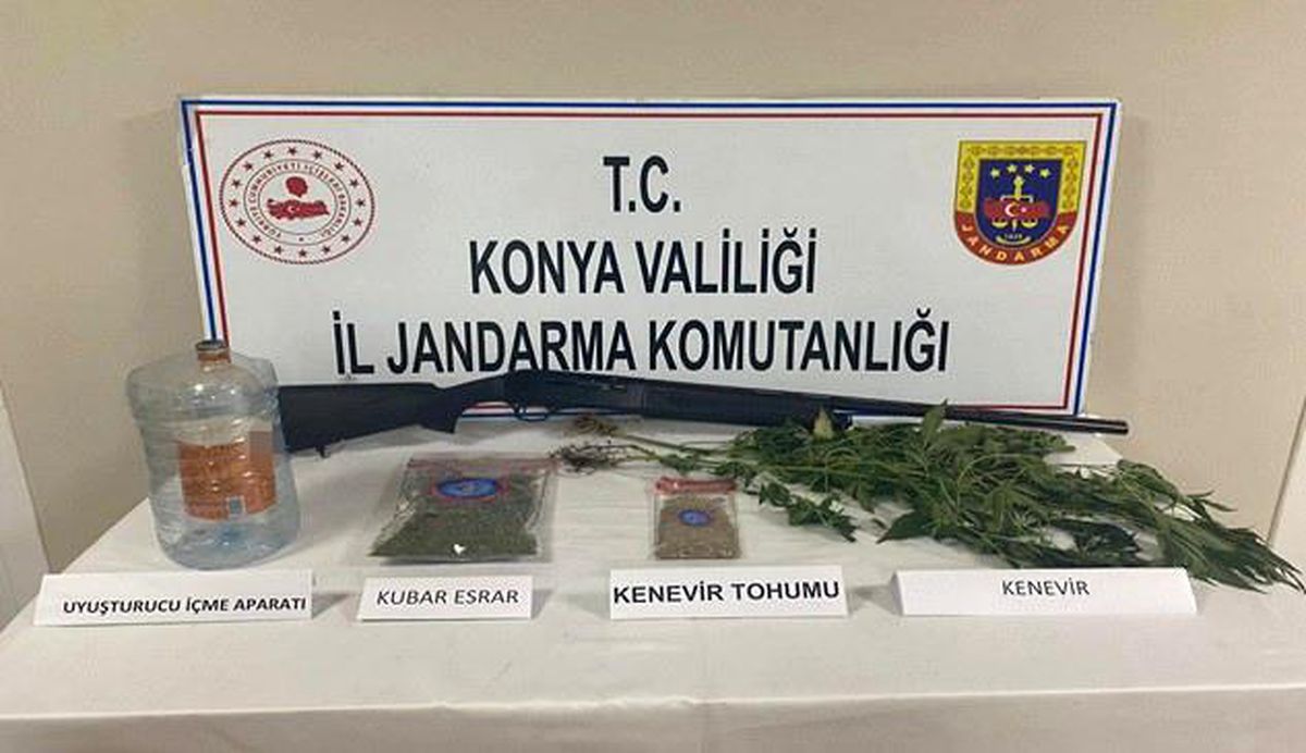Konya\'da Uyuşturucu Operasyonu: 217 Kök Hint Keneviri Ele Geçirildi