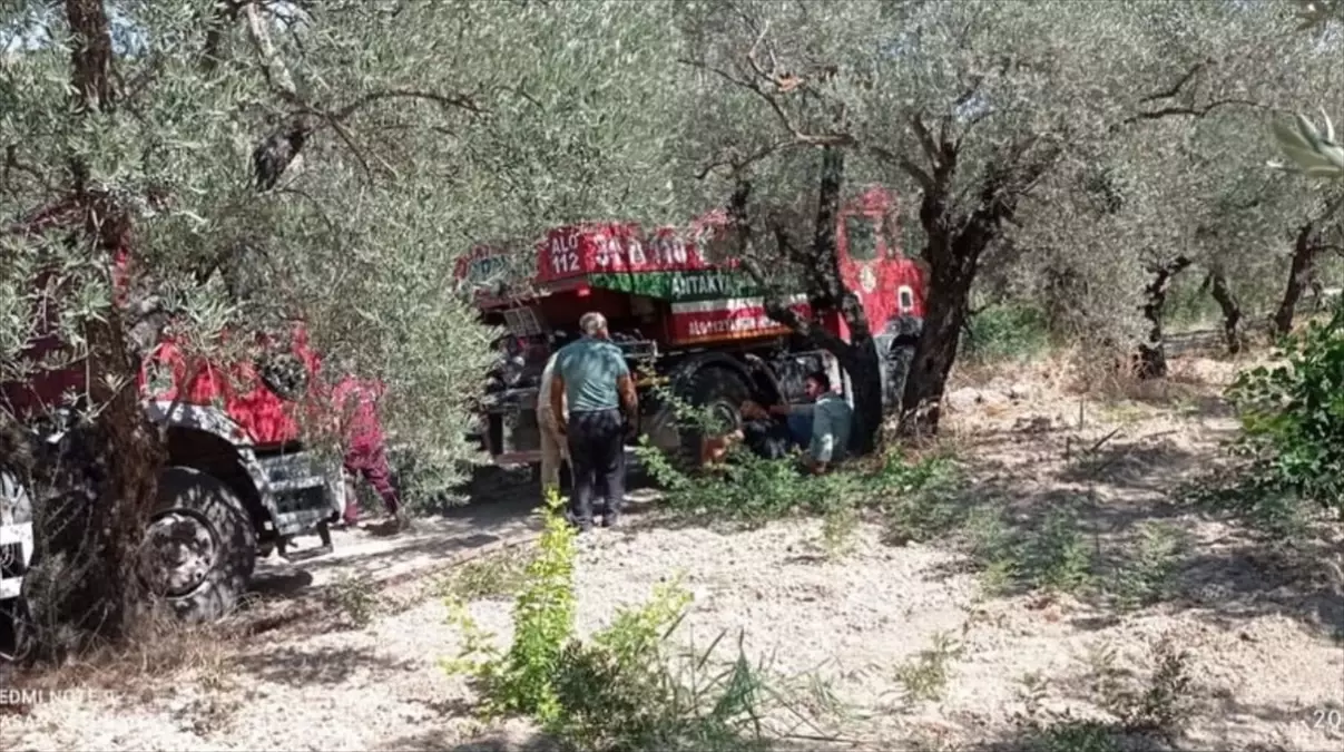 Hatay\'ın Altınözü ilçesinde zeytin bahçesinde çıkan yangın söndürüldü