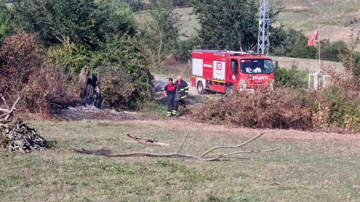 Sinop\'ta Otların Yakılması Paniğe Neden Oldu