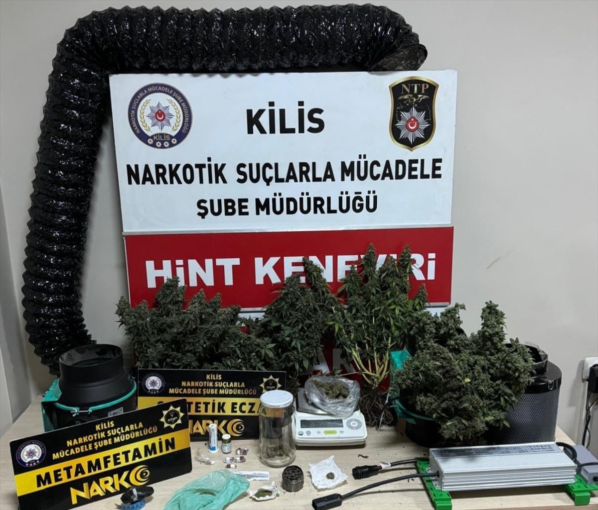 Kilis\'te Esrar Yetiştiriciliği Yapan 2 Şüpheli Tutuklandı