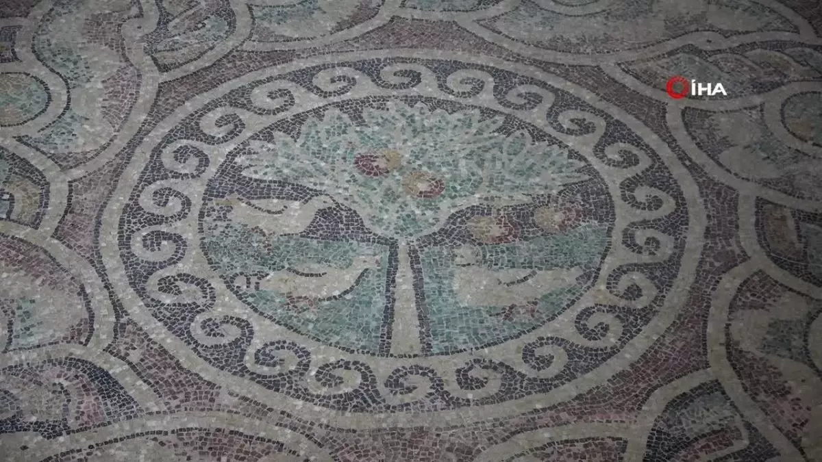 Amasya\'da Tek Antik Mozaik: Üstünde Elma Ağacı