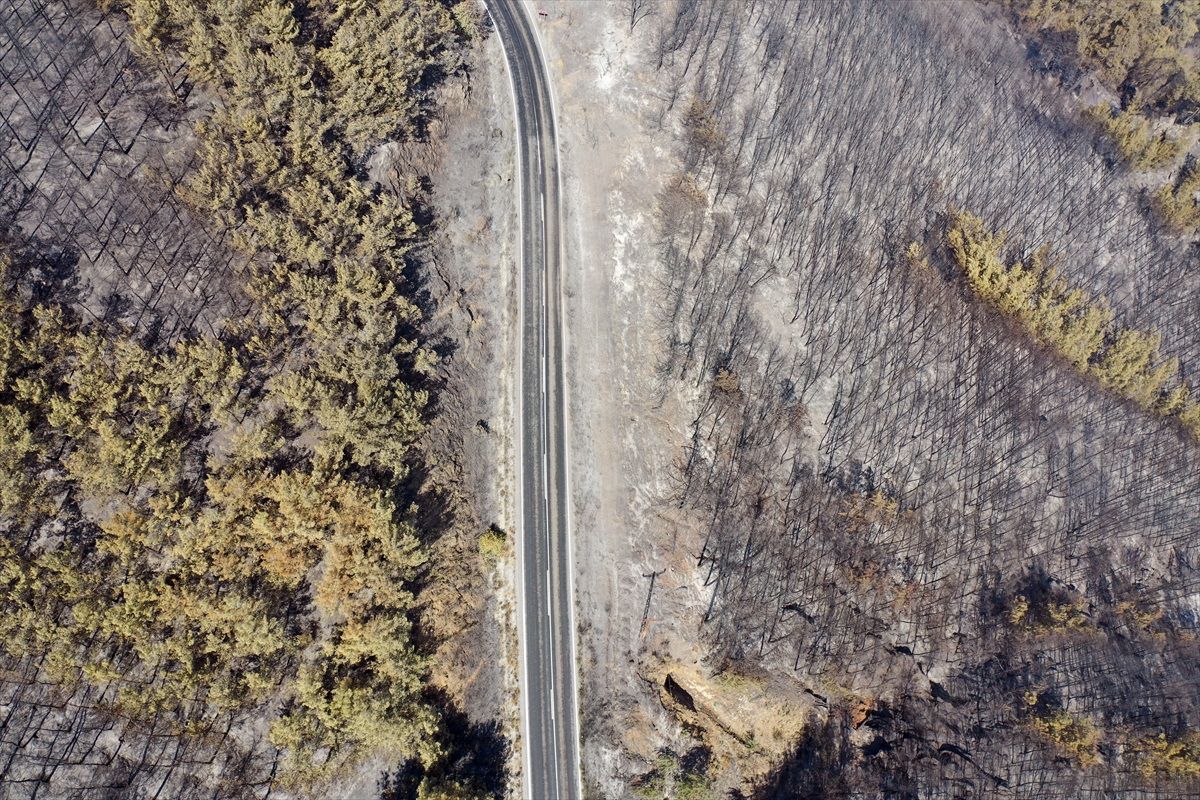 Ege\'deki Orman Yangınları Sonrası Yeşil Alanlar Griye Döndü