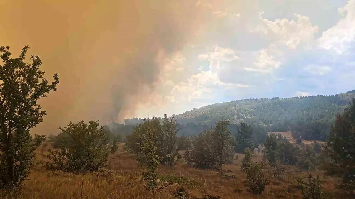 Ankara-Bolu sınırında çıkan yangın Gerede\'ye sıçradı