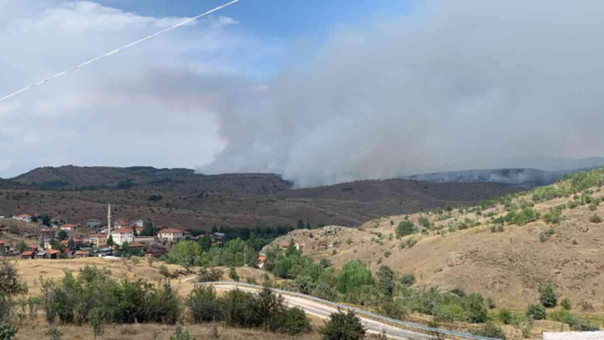 Ankara'da orman yangını! Alevlerin sıçradığı bir köy, tedbir amaçlı boşaltıldı