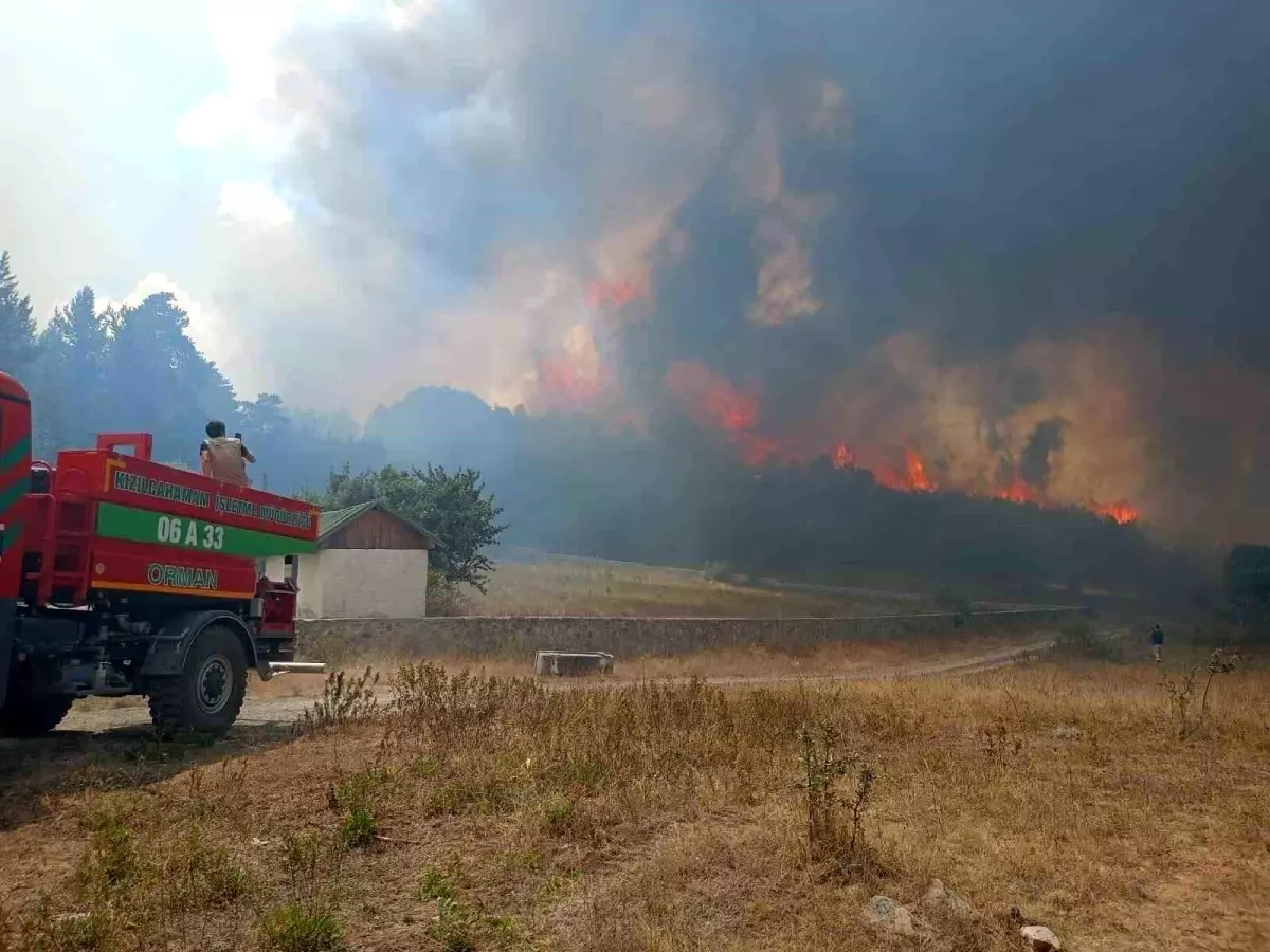 Ankara\'nın Kızılcahamam ilçesinde ormanlık alanda yangın çıktı