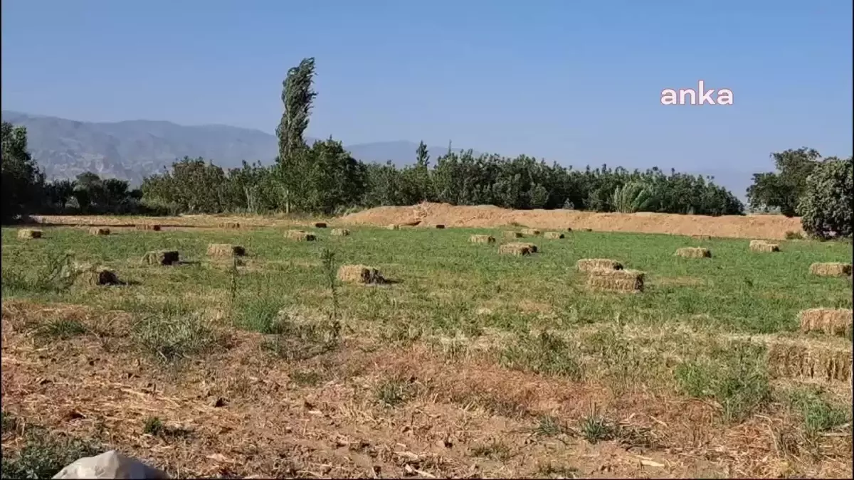 Aydın-Denizli Otoyolu Üreticilerin Tepkisine Neden Oluyor