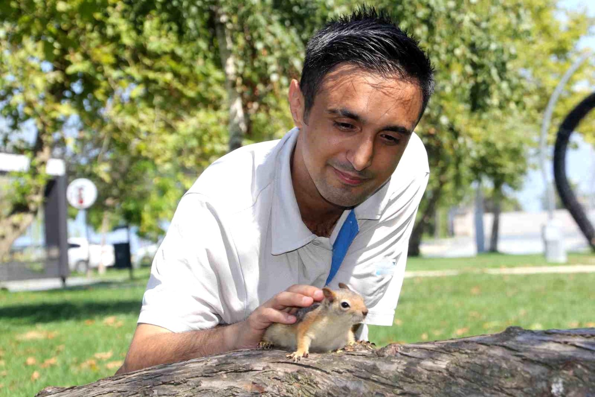 Ordu\'da Yaralı Sincap En Yakın Arkadaş Oldu