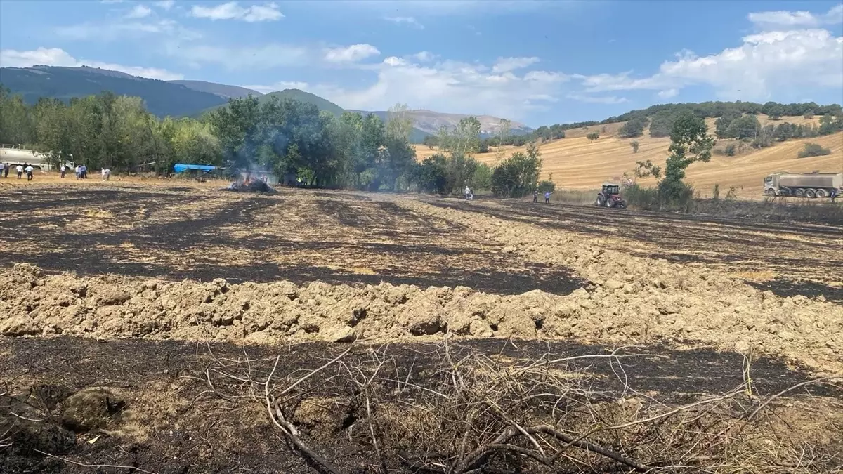 Mudurnu\'da çıkan anız yangını söndürüldü