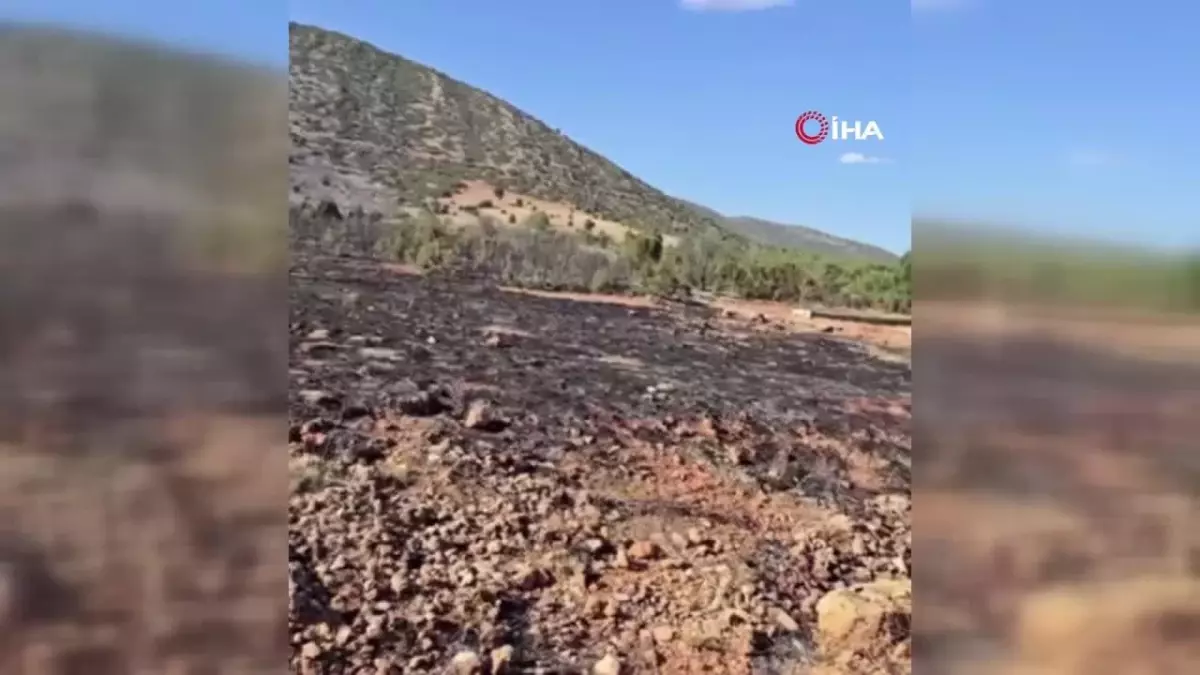 Isparta\'da çıkan orman yangını hızlı müdahale ile söndürüldü